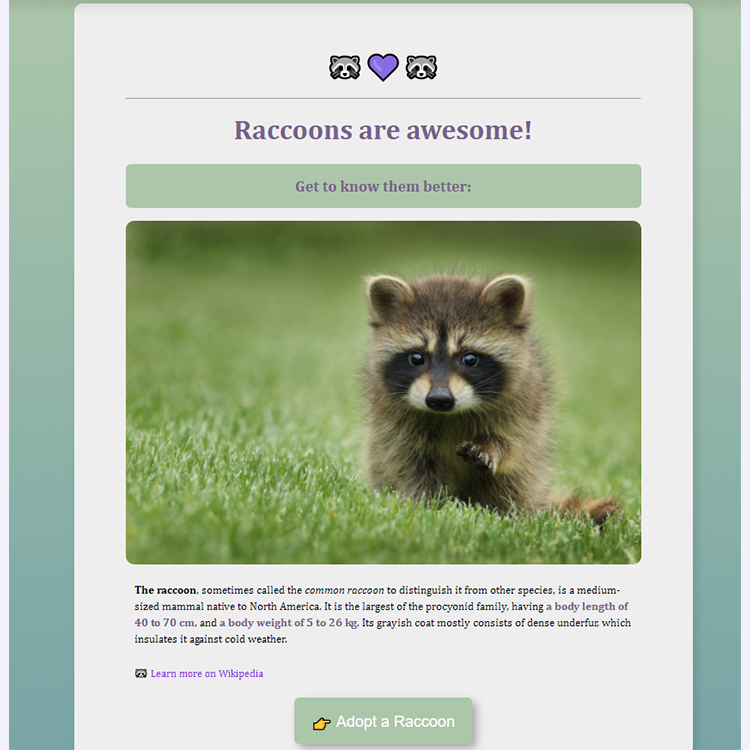Raccoons Project Preview